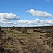 <b>White Moor Stone Circle</b>Posted by Meic