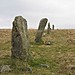 <b>Stalldown Stone Row</b>Posted by Meic