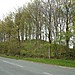 <b>Low Moor</b>Posted by Chris Collyer
