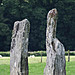 <b>The Great X of Kilmartin</b>Posted by Hob