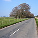 <b>Sparsholt Down (edge of)</b>Posted by wysefool