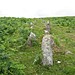 <b>Trowlesworthy Stone Row East</b>Posted by Meic