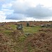 <b>Mardon Down Cairn Circle</b>Posted by Meic