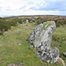 <b>Mardon Down Stone Circle</b>Posted by Meic
