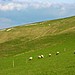 <b>Uffington White Horse</b>Posted by mjobling