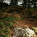 <b>Fowberry Cairn</b>Posted by Hob
