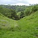 <b>Hamdon Hill</b>Posted by formicaant