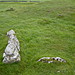<b>Arbor Low</b>Posted by bobpc