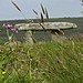 <b>Lanyon Quoit</b>Posted by formicaant