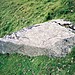 <b>Arrow Stone II Near Ffridd Newydd</b>Posted by Idwal