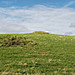 <b>Chilcombe Hill</b>Posted by formicaant