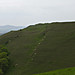 <b>Eggardon Hill</b>Posted by formicaant