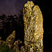 <b>The Rollright Stones</b>Posted by Hob