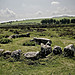 <b>Hound Tor</b>Posted by A R Cane