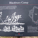 <b>Blackbury Camp</b>Posted by formicaant
