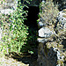 <b>Grotte de Bounias</b>Posted by Jane