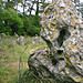 <b>The Rollright Stones</b>Posted by greenman