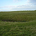 <b>Maiden Castle (Dorchester)</b>Posted by formicaant
