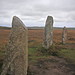 <b>Nine Maidens of Boskednan</b>Posted by chris s