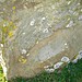 <b>Avenue stone with axe grinding marks</b>Posted by Chance