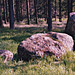 <b>Nine Stanes</b>Posted by sals