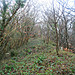 <b>Pen Dinas camp</b>Posted by postman