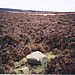 <b>Crow Stones</b>Posted by Martin