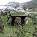 <b>Le Dolmen du Couperon</b>Posted by baza