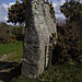 <b>Carvannel Menhir</b>Posted by chris s
