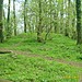 <b>Denbury Hillfort round barrows</b>Posted by dude from bude