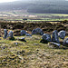 <b>Trewortha Cairn and Cist</b>Posted by Mr Hamhead