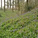 <b>Barrow Copse</b>Posted by Chance