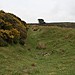 <b>Ringses Camp, Beanley Moor</b>Posted by mascot