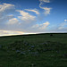 <b>Drizzlecombe Megalithic Complex</b>Posted by postman