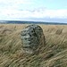<b>Brow Moor Ring cairn</b>Posted by Chris Collyer