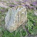 <b>Brow Moor Standing stone</b>Posted by Chris Collyer