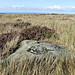 <b>Fylingdales Moor</b>Posted by Chris Collyer