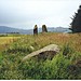 <b>East Cult Standing Stones</b>Posted by Martin