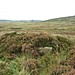 <b>Moscar Moor</b>Posted by Chris Collyer
