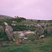<b>Bodrifty Iron Age Settlement</b>Posted by hamish
