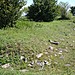 <b>Tumulus du Montioux</b>Posted by Chance