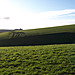 <b>Biddcombe and Whitepits Down Cross Dykes</b>Posted by formicaant