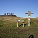 <b>Wittenham Clumps and Castle Hill</b>Posted by Circlemaster