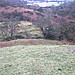 <b>Trusty's Hill</b>Posted by broch the badger