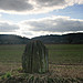 <b>The Queen Stone</b>Posted by postman