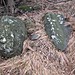 <b>Faie's Menhirs and cupmarked stone(Faires Menhirs)</b>Posted by Ligurian Tommy Leggy