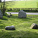 <b>The Nine Stones of Winterbourne Abbas</b>Posted by dorsetlass