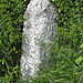 <b>Yetminster Stone</b>Posted by TMA Ed