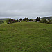 <b>Corfe Common</b>Posted by formicaant