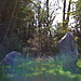<b>The Nine Stones of Winterbourne Abbas</b>Posted by robinintheuk